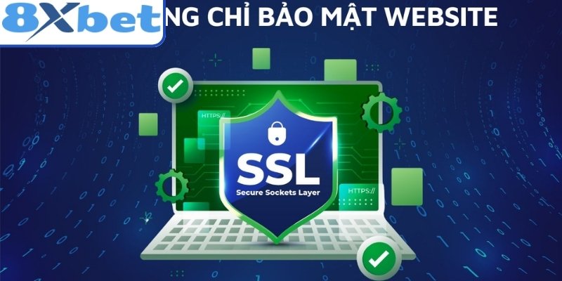 Website Không Có Chứng Chỉ SSL